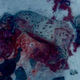 Image for article titled The Revenant reimagines the look of the Western by squeezing the wild frontier